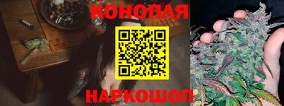 трава Новозыбков