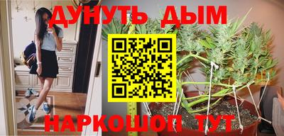 трава Новозыбков