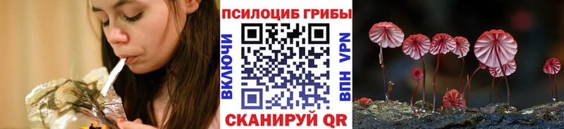 Псилоцибиновые грибы Cubensis  мега   Янаул  даркнет сайт 
