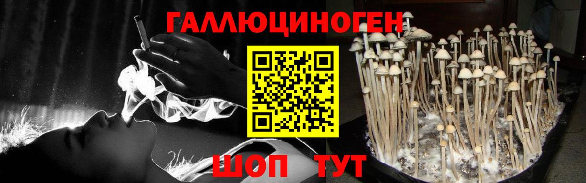 Псилоцибиновые грибы Cubensis  где купить наркотик  Янаул  Вход с VPN 